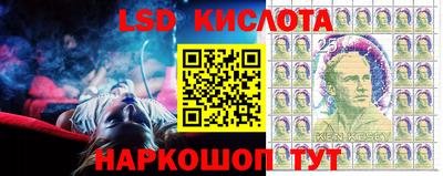 ПСИЛОЦИБИНОВЫЕ ГРИБЫ Канаш