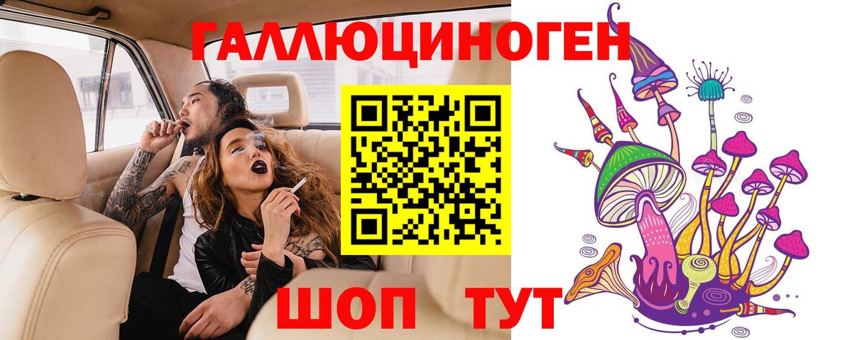 Кудрово  купить закладку  Галлюциногенные грибы MAGIC MUSHROOMS  Вход с VPN  Псилоцибиновые грибы Psilocybine cubensis 